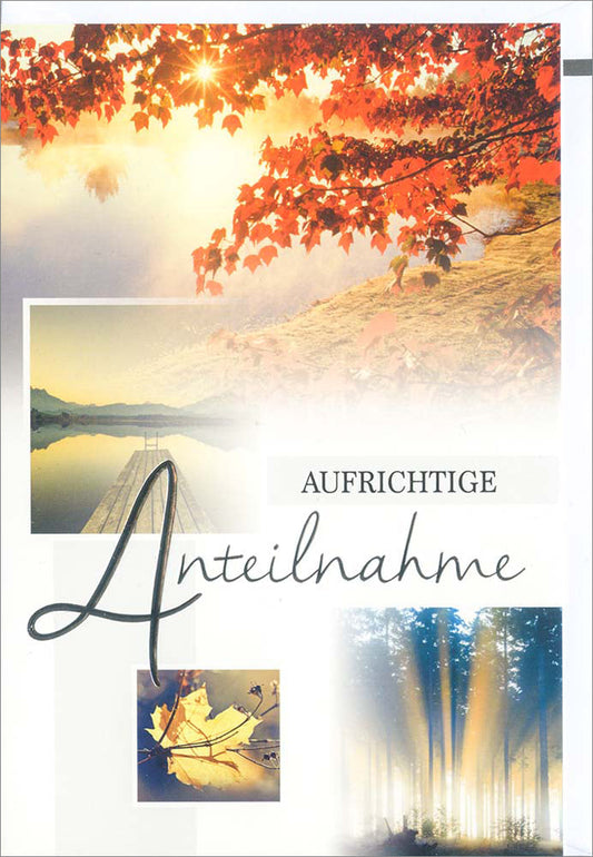 Aufrichtige Anteilnahme (Faltkarte Trauer)