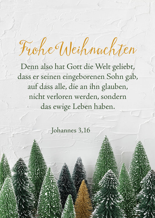 Frohe Weihnachten - Also hat Gott die Welt geliebt (Doppelkarte Weihnachten)